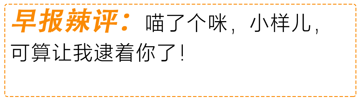 购买上千件小米产品的米粉吐槽,米粉节之后会恢复原价吗