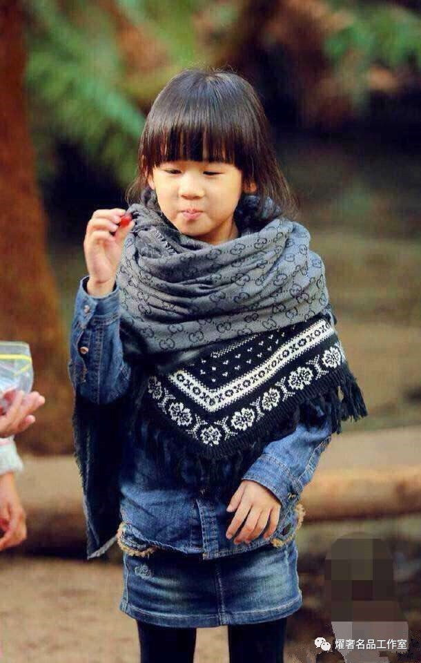 hermes爱马仕丝巾故事,hermes丝巾有什么系列