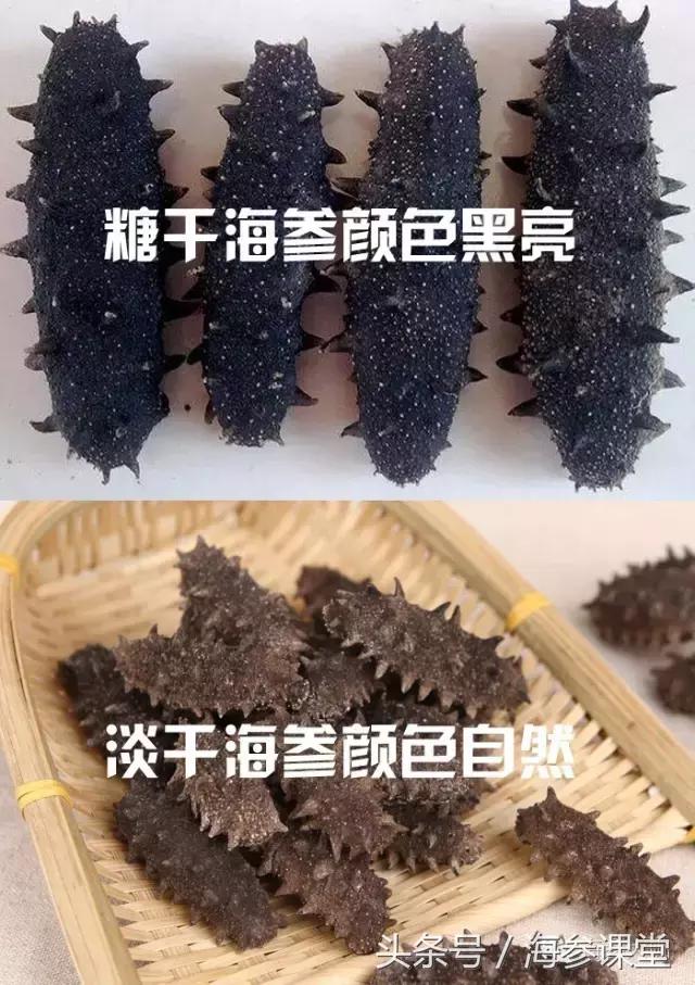 买的海参为什么是湿的,海参泡不大是假的吗