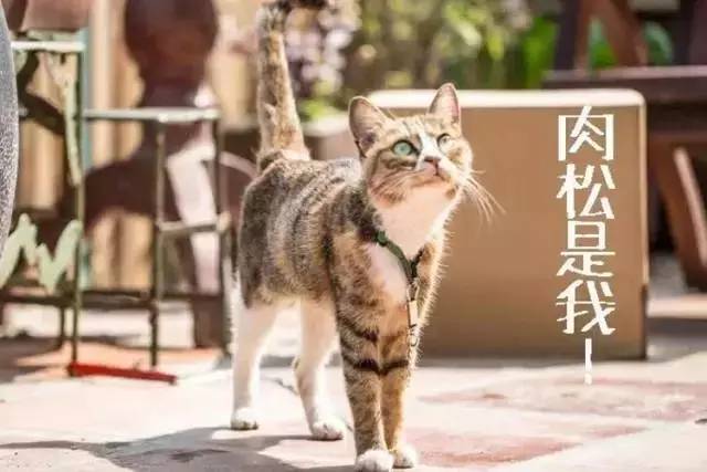 这座藏在旧城区菜市场里的“百货”，装满了老厦门的味道！