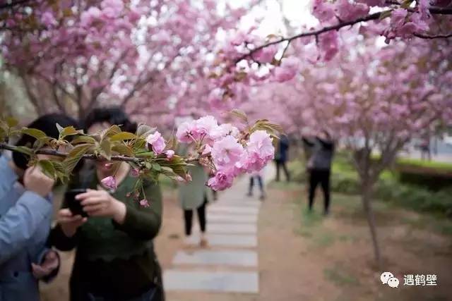 寻找紧急扩散人员名单,紧急寻找紧急扩散