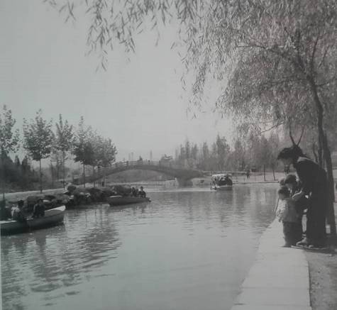 宝鸡的特色有哪些,宝鸡的特色都有什么