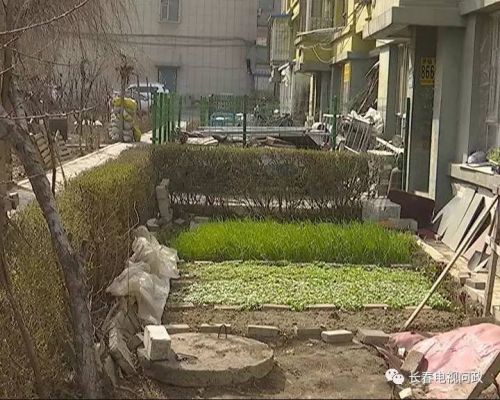 长春好景山庄小区、净月新园小区居民圈地种蔬菜最多将被罚三万