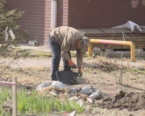 长春好景山庄小区、净月新园小区居民圈地种蔬菜最多将被罚三万