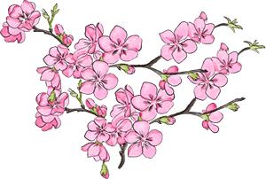 摩拜单车使用方法大全,摩拜单车使用方法