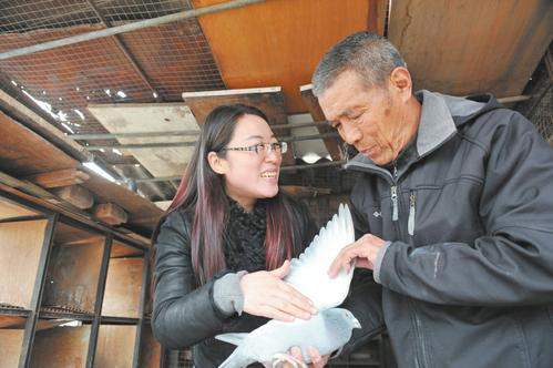 太原市鸽将军,太原鸽将军