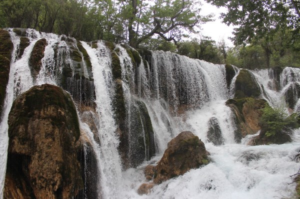 若尔盖红原九寨沟六日游,九寨沟黄龙若尔盖大草原自助游