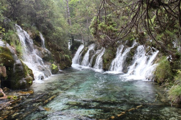 若尔盖红原九寨沟六日游,九寨沟黄龙若尔盖大草原自助游