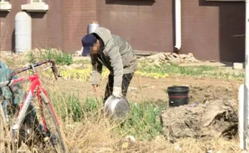 长春好景山庄小区、净月新园小区居民圈地种蔬菜最多将被罚三万