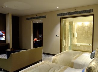 与日本冬天不期而遇,与日本冬天不期而遇后续