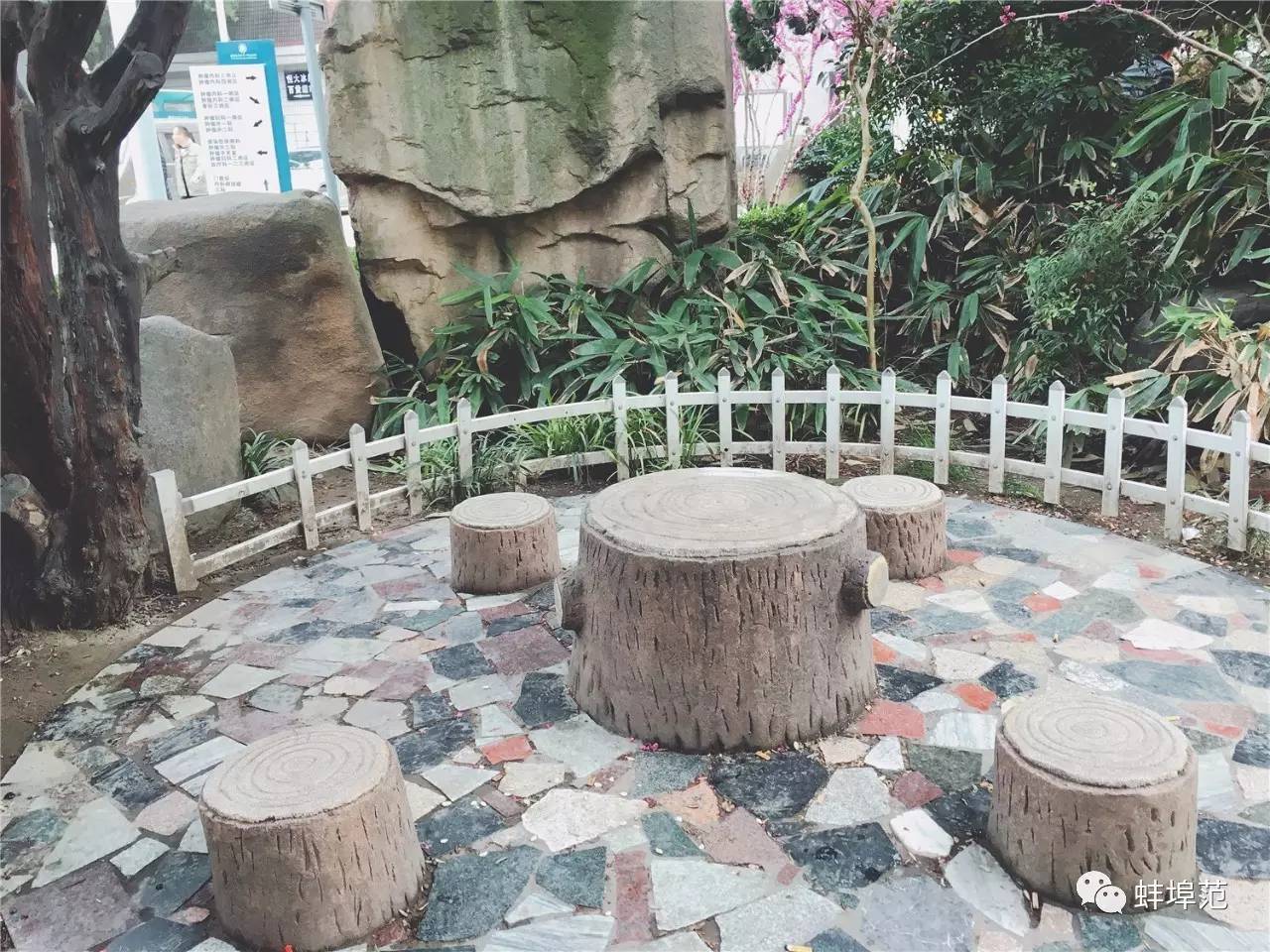 安徽蚌埠最出名的医院,蚌埠淮委医院现在叫什么