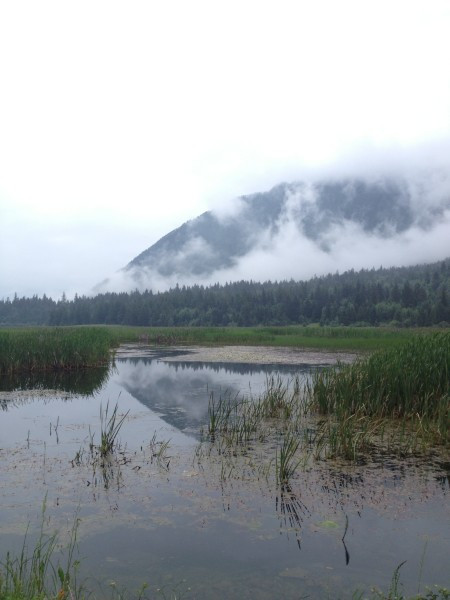若尔盖红原九寨沟六日游,九寨沟黄龙若尔盖大草原自助游