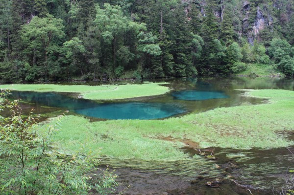 若尔盖红原九寨沟六日游,九寨沟黄龙若尔盖大草原自助游