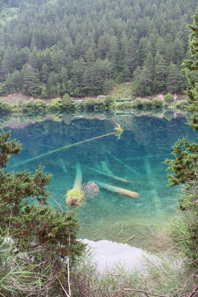 若尔盖红原九寨沟六日游,九寨沟黄龙若尔盖大草原自助游
