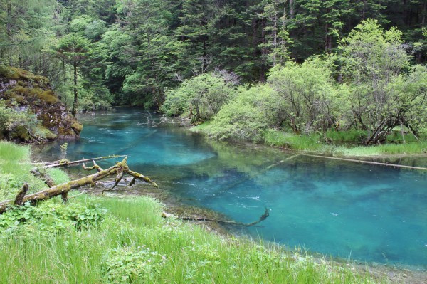 若尔盖红原九寨沟六日游,九寨沟黄龙若尔盖大草原自助游