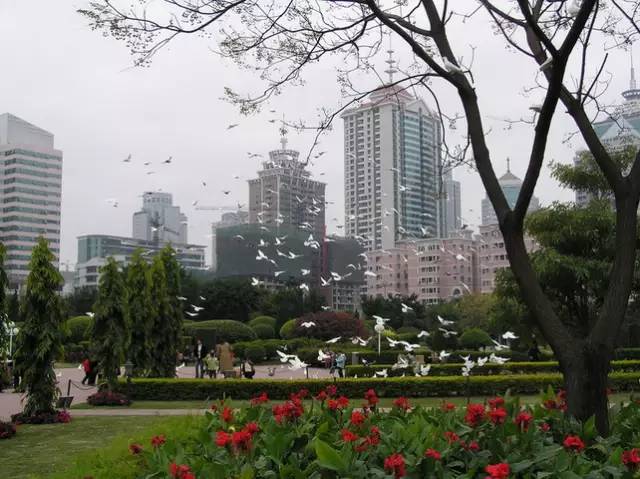 温泉公园新开,生态温泉公园