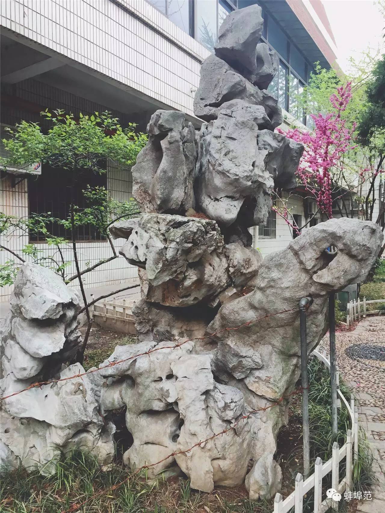 安徽蚌埠最出名的医院,蚌埠淮委医院现在叫什么