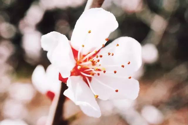 跟着鹿晗去兜风,跟着鹿晗去北京