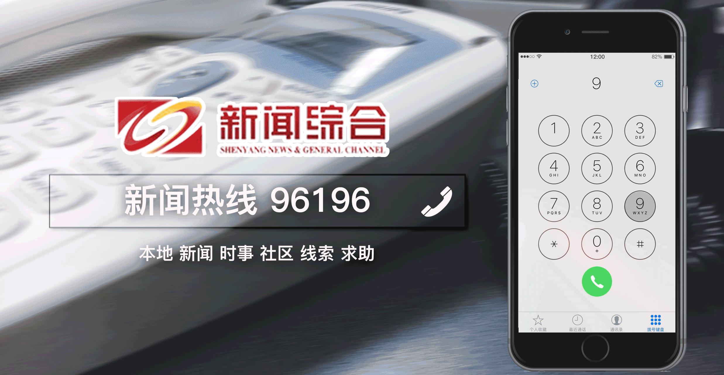 沈阳自贸区跨境电商企业,沈阳自贸区进口商品