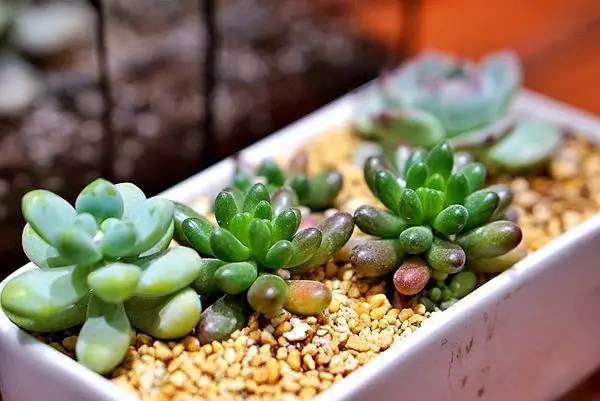 石家庄酒吧攻略,石家庄泡吧