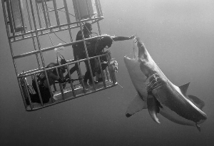 潜水虽好不会醉酒也会“醉氮”