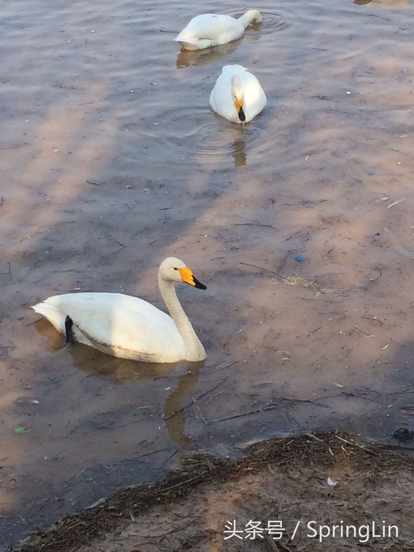 三门峡豫西大峡谷旅游攻略,豫西三门峡全景图