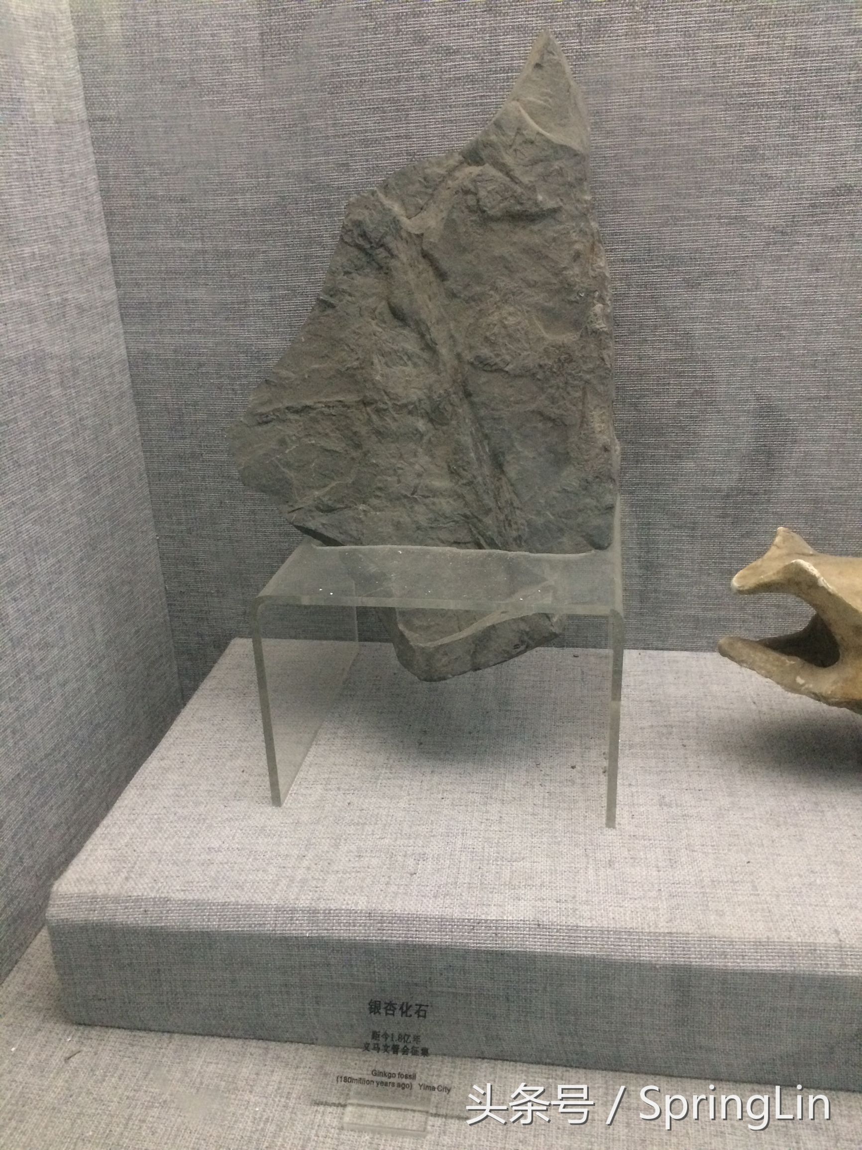 三门峡豫西大峡谷旅游攻略,豫西三门峡全景图