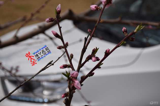 瑞风s3保养周期表,瑞风s3去哪里做保养