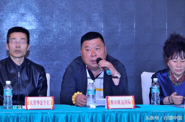 西敏寺犬展法国斗牛,法国国际肉牛博览会