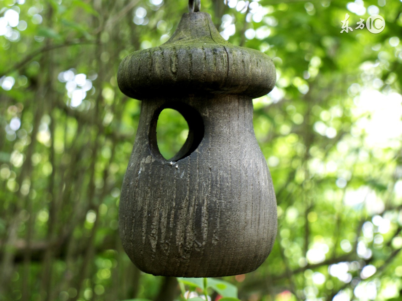 从囤积强迫症到断舍离,囤积强迫症治愈方法