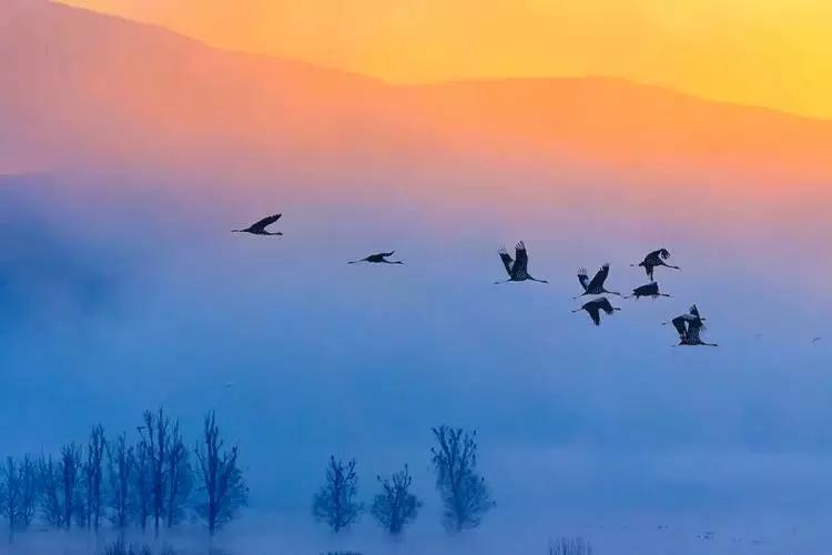 一个家族都可以拥有家谱吗,家谱是延续家族血脉的重要载体