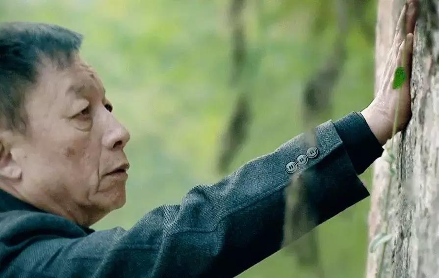 一个家族都可以拥有家谱吗,家谱是延续家族血脉的重要载体