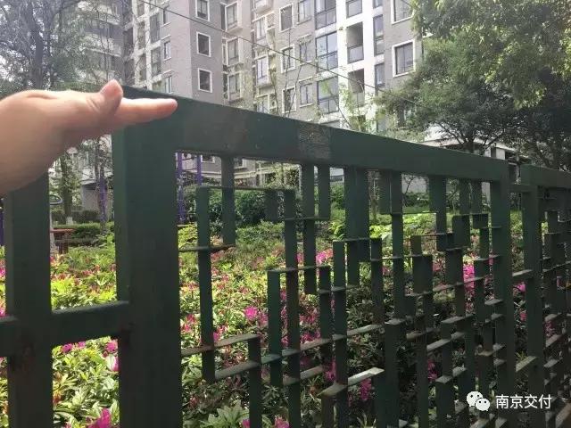 房龄差“三岁“，为了莫愁湖”新项目“却比老项目显老？