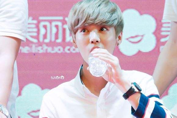 鹿晗小鲜肉,鹿晗不可思议的傻狍子