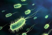 直肠癌her22+还需要靶向治疗吗,结肠癌her2+还能用靶向药吗