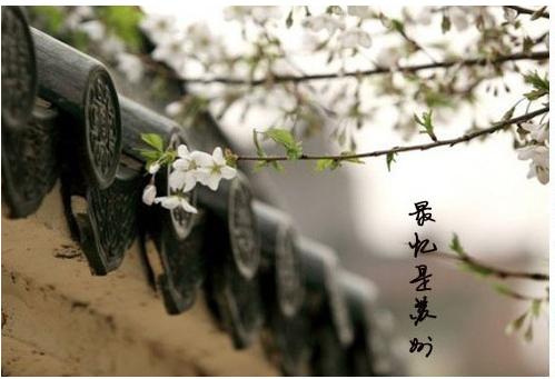 国货种草好物祛斑,一点都不输大牌国货护肤品推荐