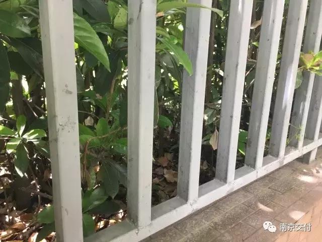 房龄差“三岁“，为了莫愁湖”新项目“却比老项目显老？