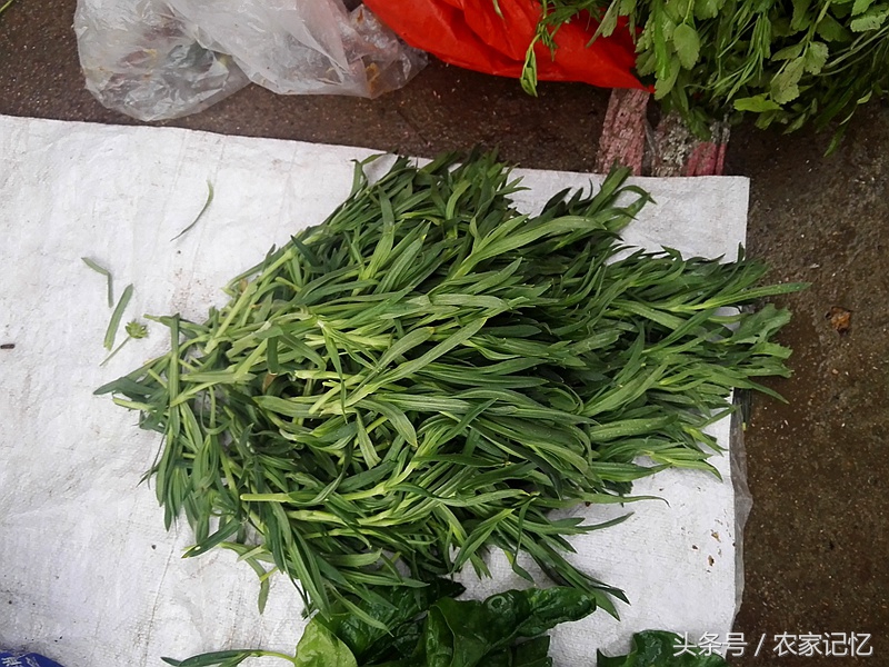 农村老人买野菜,农村卖的野菜