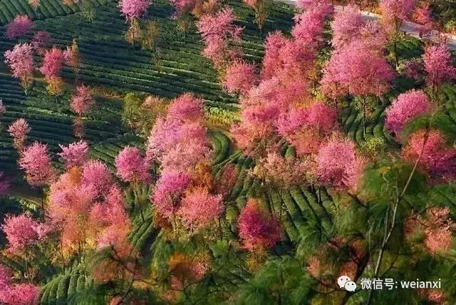 安溪最好看的风景,安溪哪个风景好