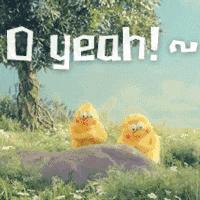 皮皮虾我们出去玩图片,皮皮虾我们一起去旅行