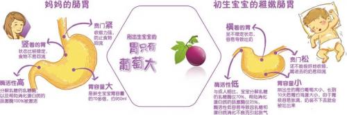 新生儿吃什么奶粉好排行榜,双胎新生儿吃什么奶粉好