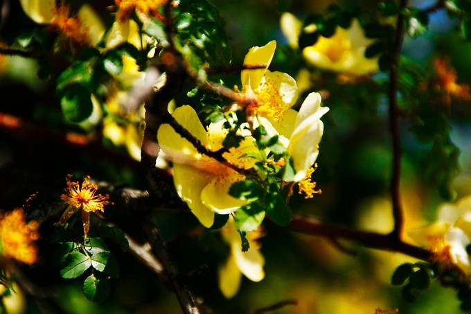 西北归来，我想说给你听，青海甘肃西安华山11天