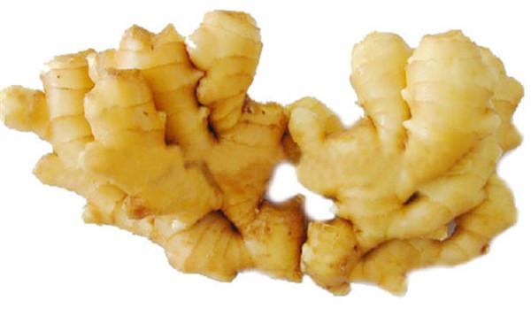 生姜捣碎加白酒能治白癜风,老姜蘸白糖能治胃病吗