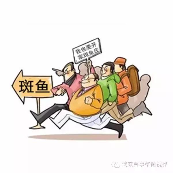 武威人的十大特征,武威人长相特征