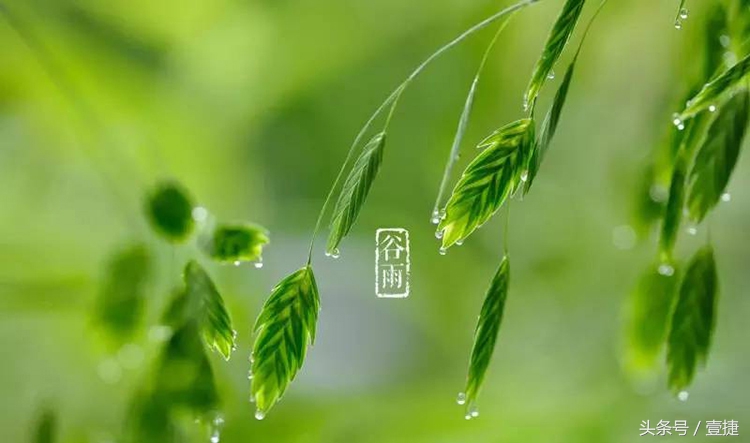 走春入夏时，养车这么做让你省钱又省心