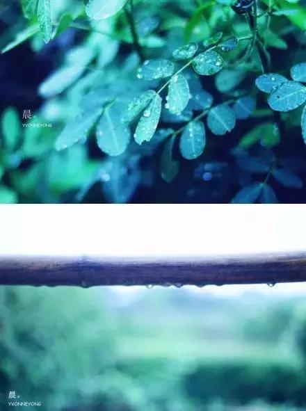 晨曦微光音乐,晨曦微光护理能淡斑吗