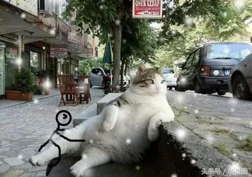 来一罐北京柳絮吧！从如何防絮看创业商机