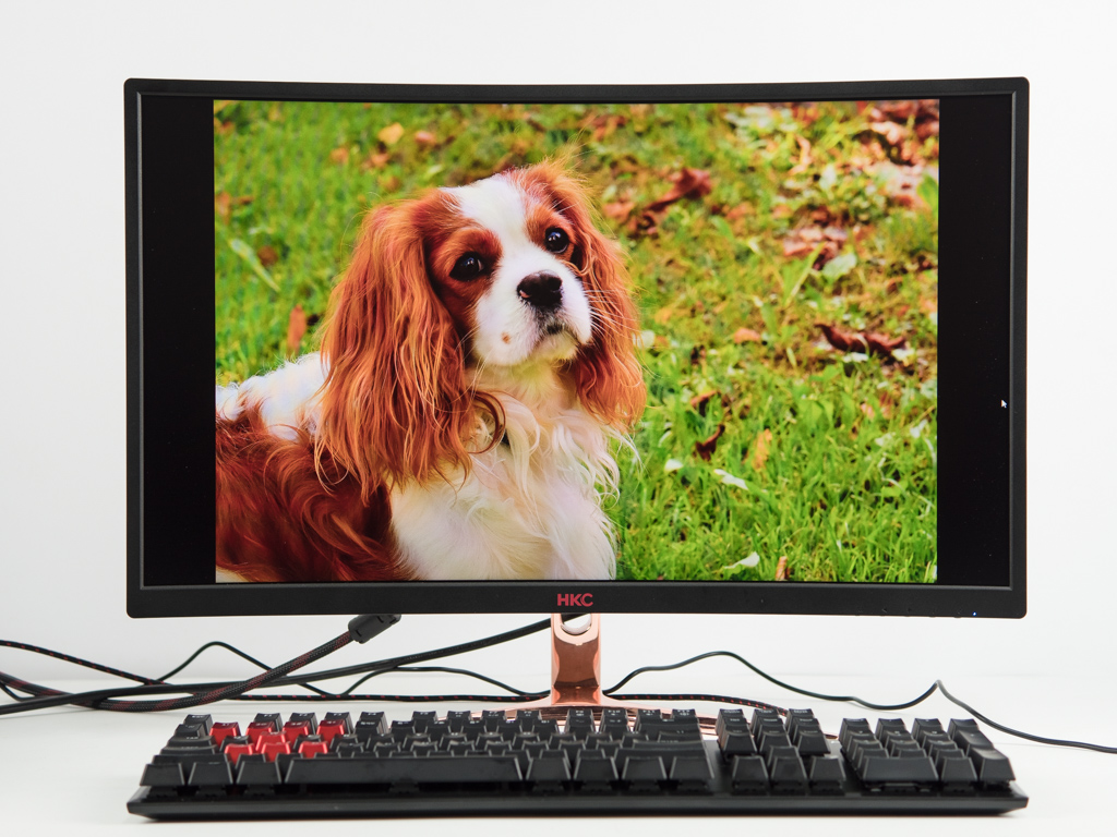 学生党电竞显示屏推荐,学生党的显示器4k