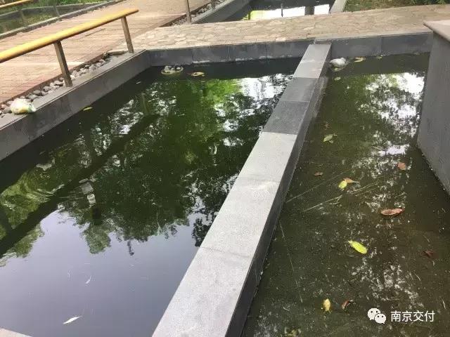 房龄差“三岁“，为了莫愁湖”新项目“却比老项目显老？