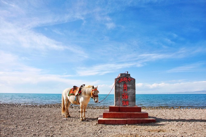 西北归来，我想说给你听，青海甘肃西安华山11天